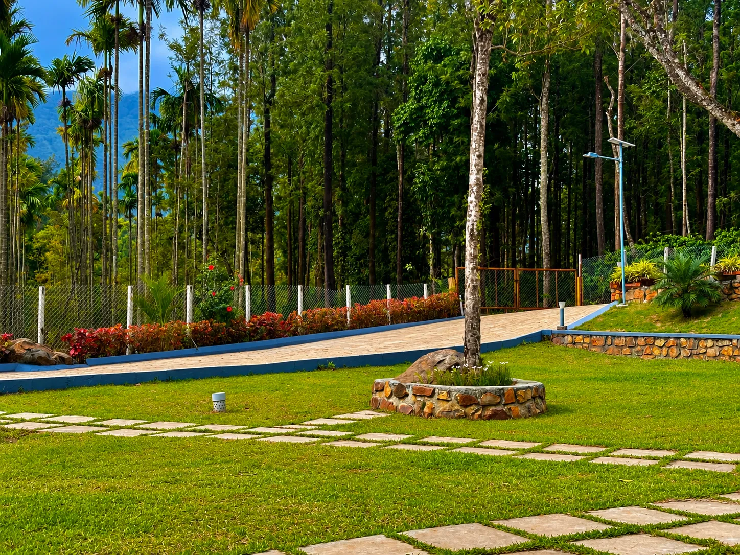 Garden 3
