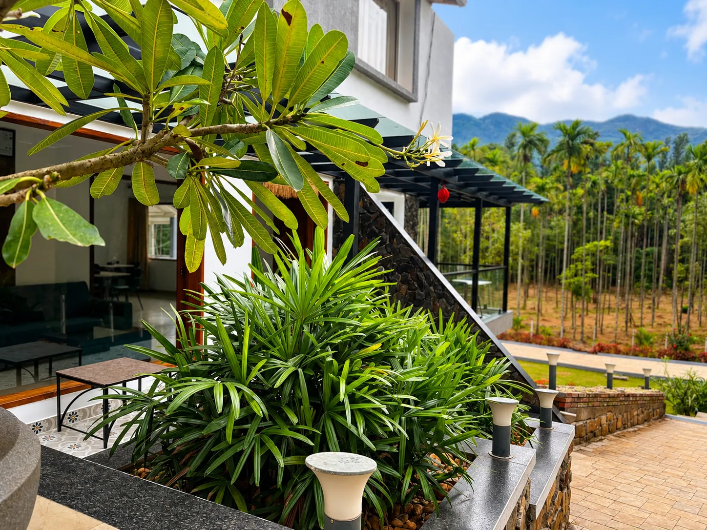 Garden 6