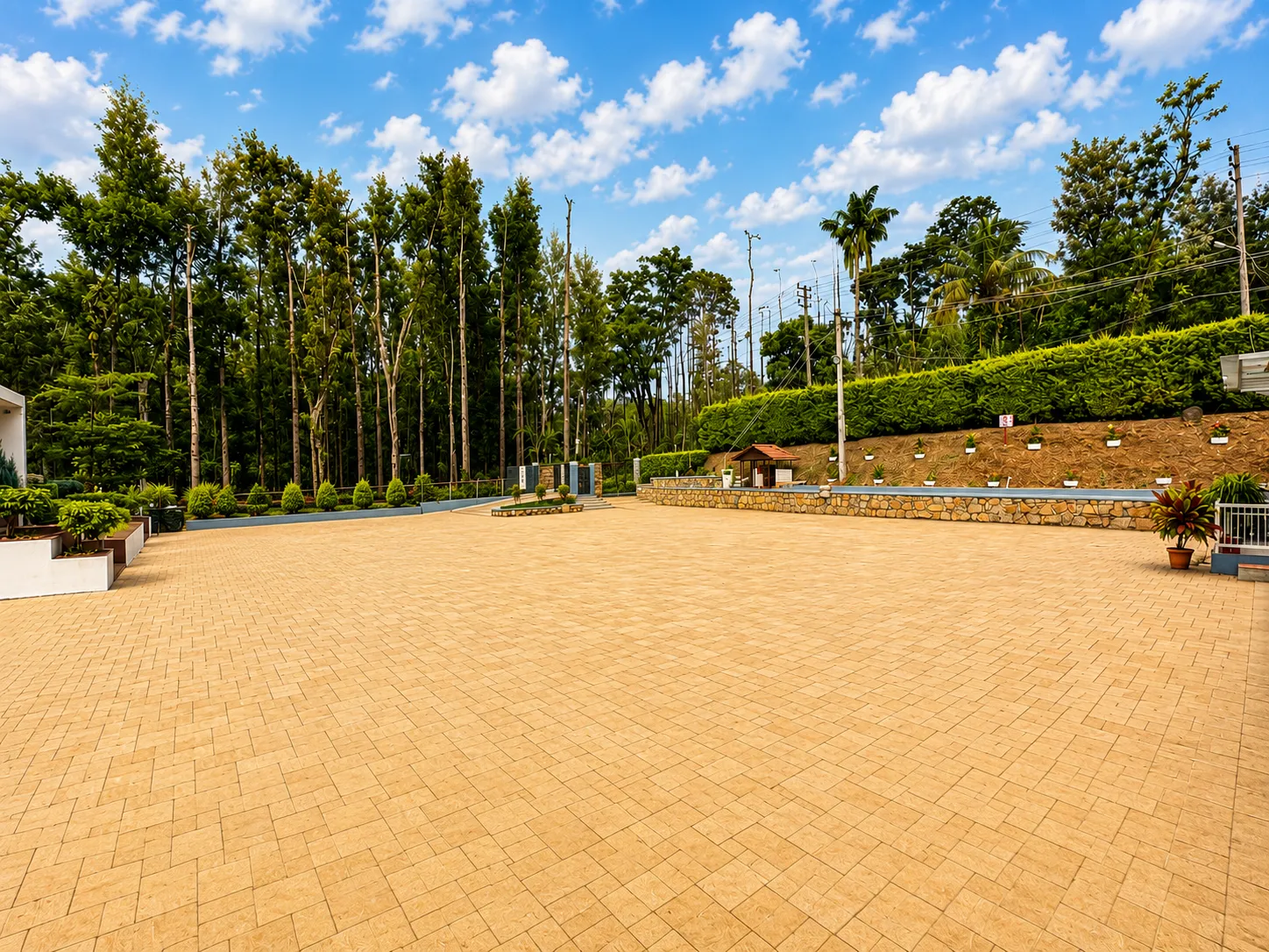 Parking 3