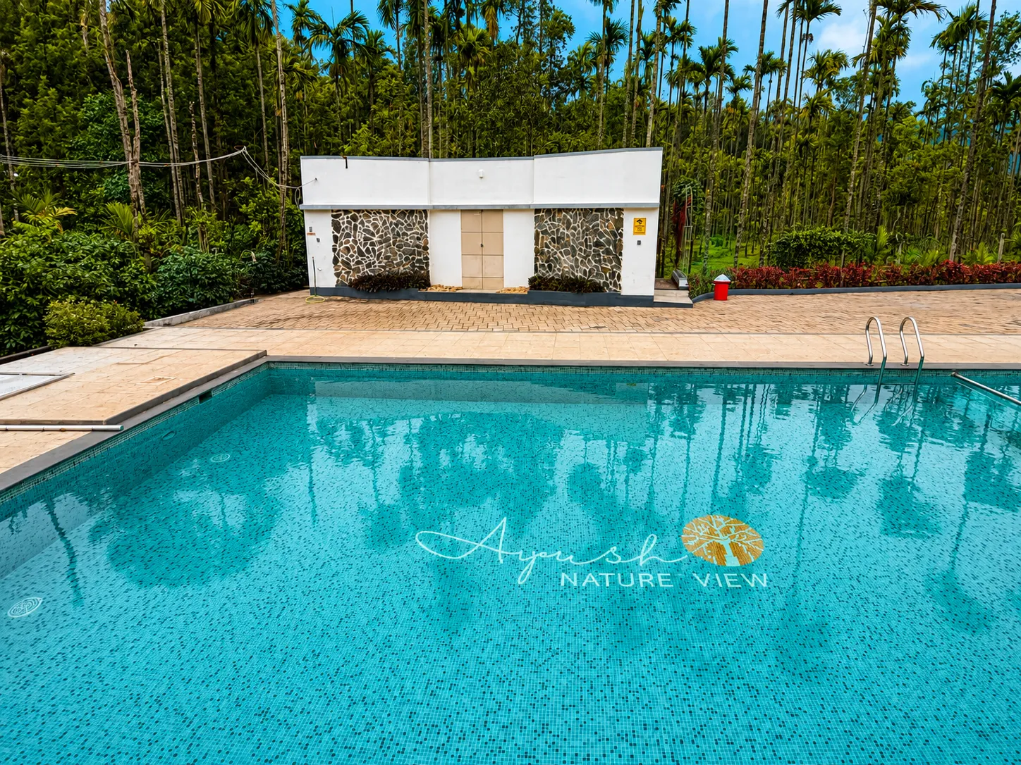Pool 4